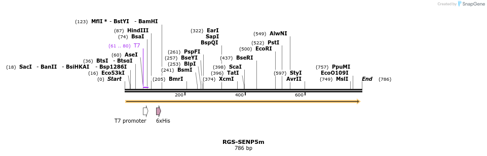 24595_map