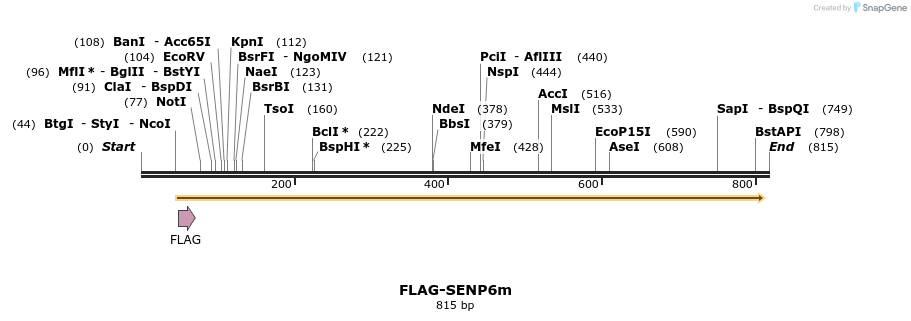 24596_map