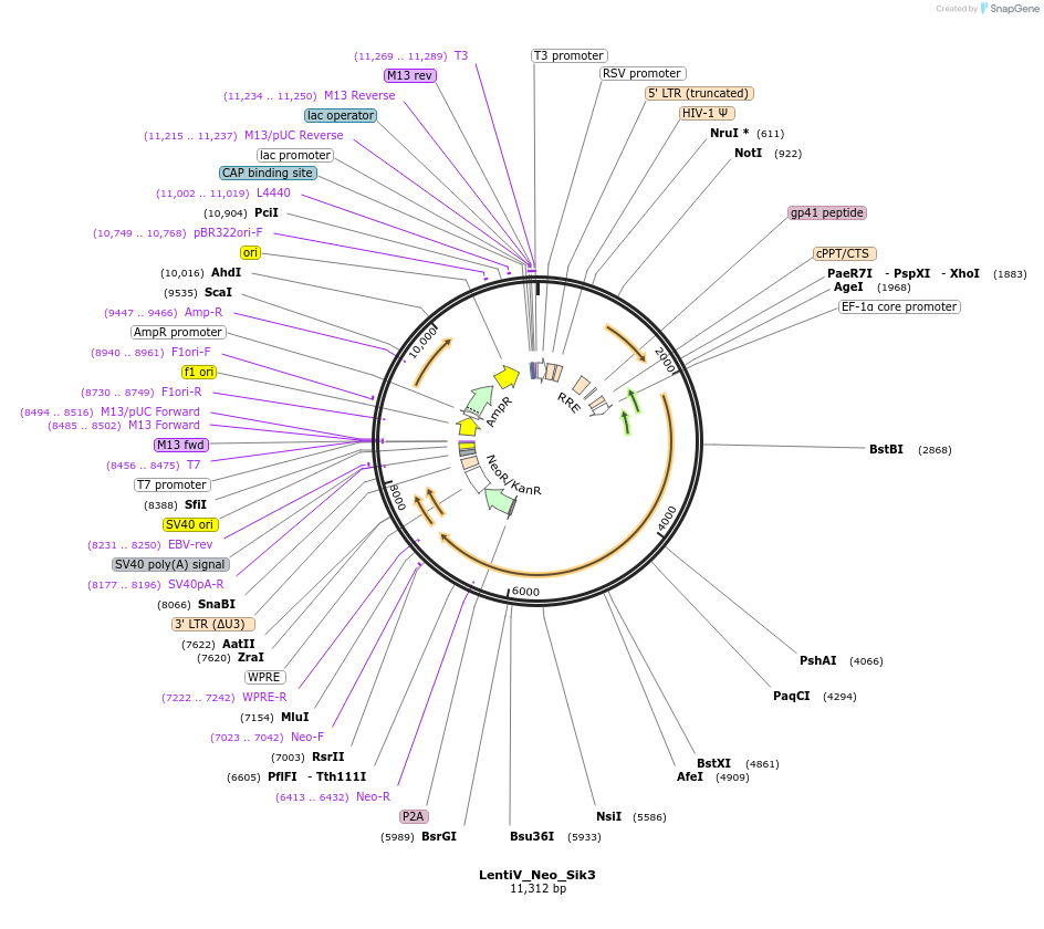 245969_map