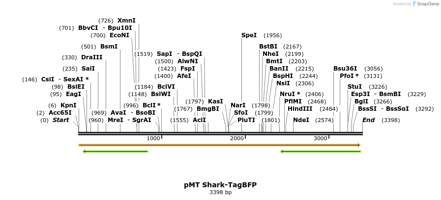 246001_map
