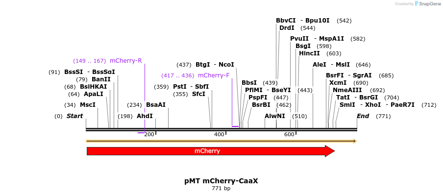 246067_map