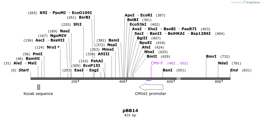 24607_map