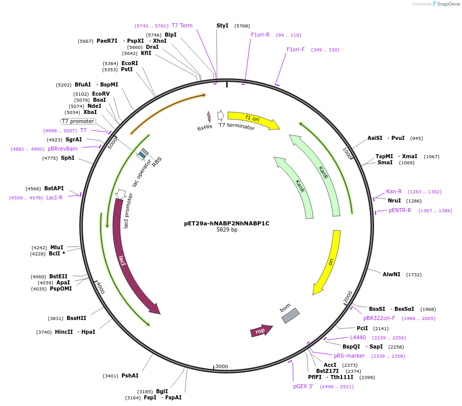 246091_map