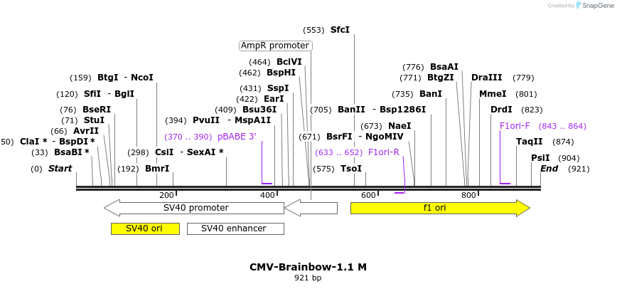 24610_map