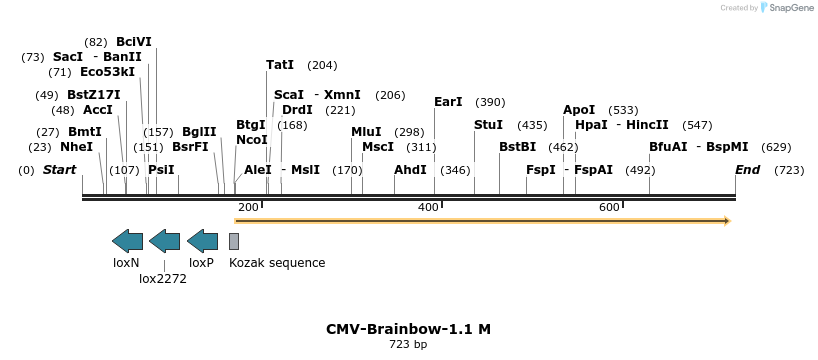 24611_map