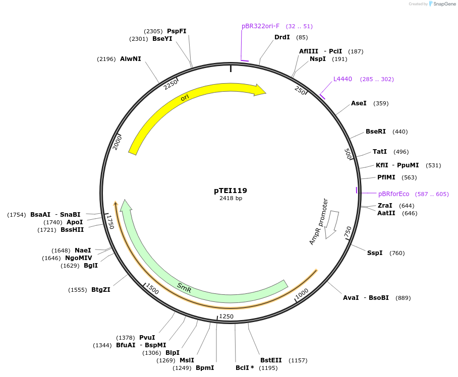 246113_map