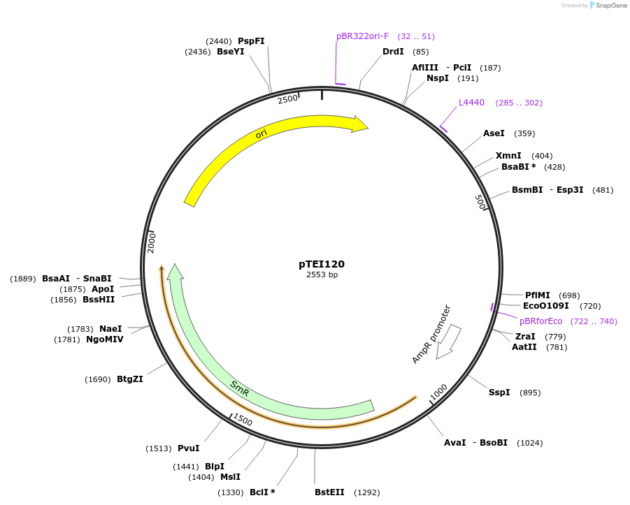 246119_map