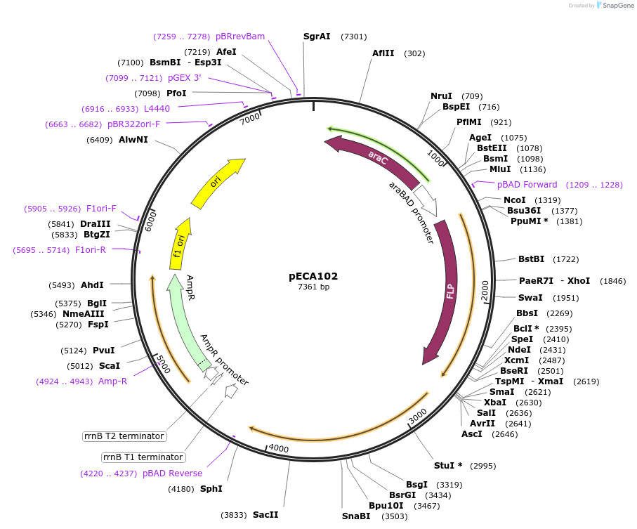 246121_map