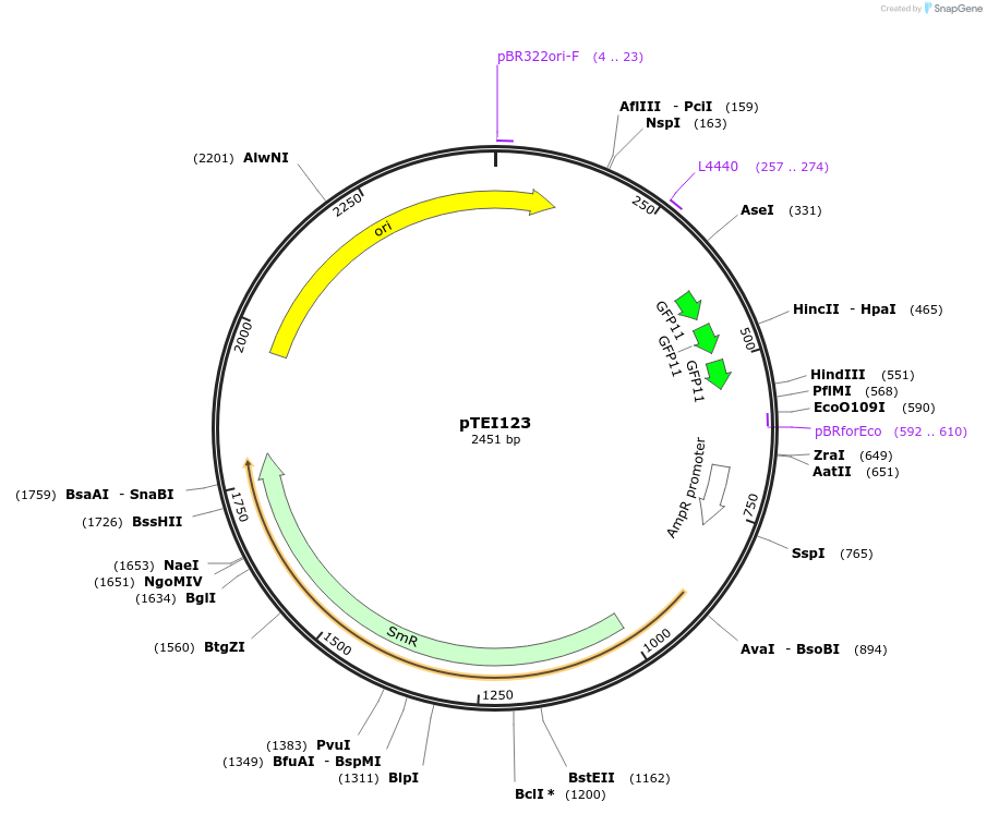 246122_map
