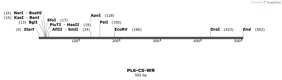 246187_map