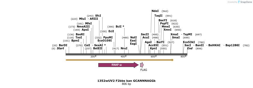 24623_map