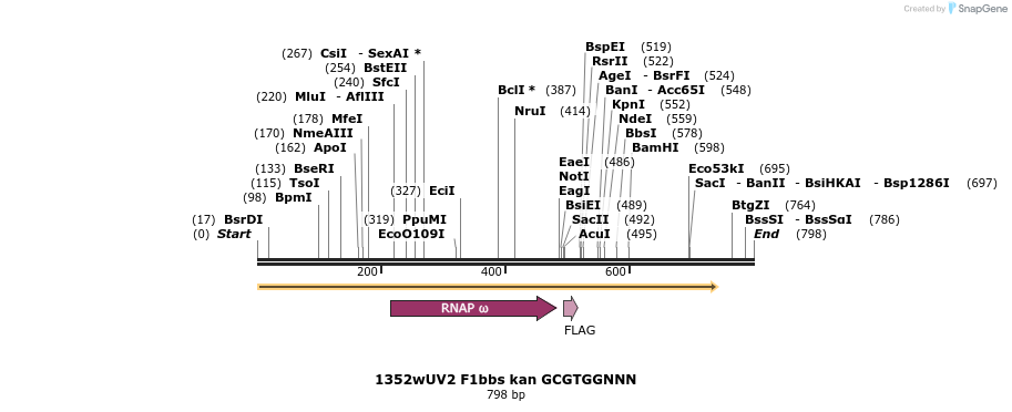 24624_map