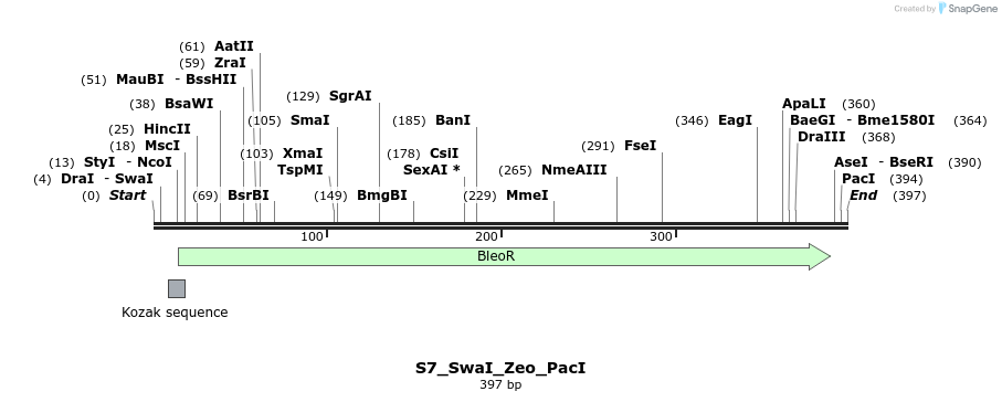 246240_map