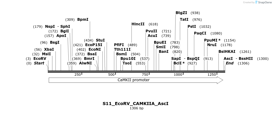 246244_map