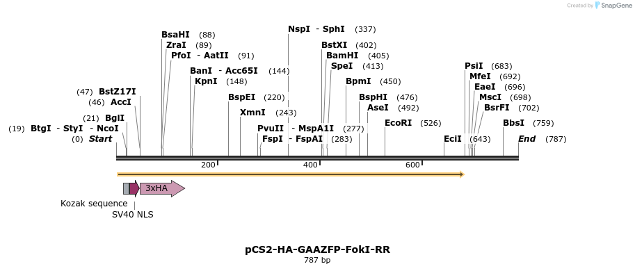 24625_map
