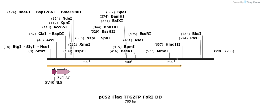 24626_map