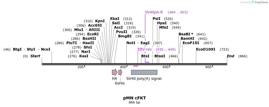 24630_map