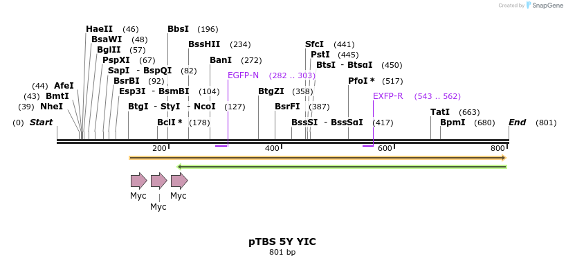 24631_map