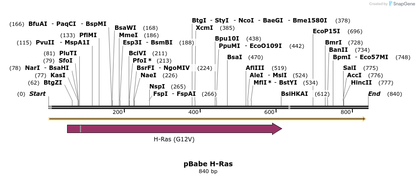 24632_map