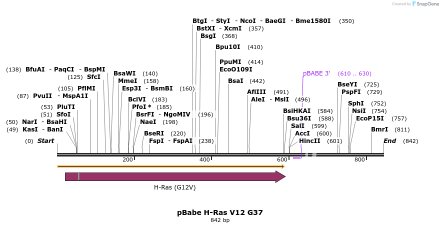 24633_map