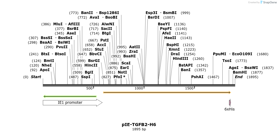 246352_map
