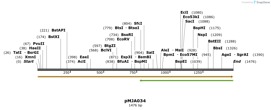 246359_map