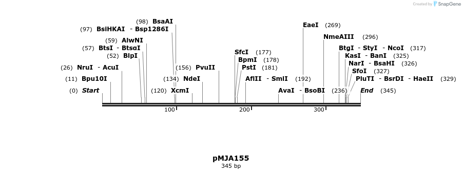 246375_map