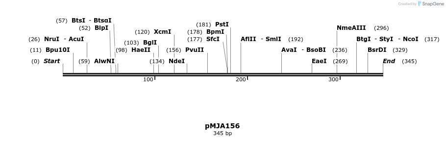 246376_map