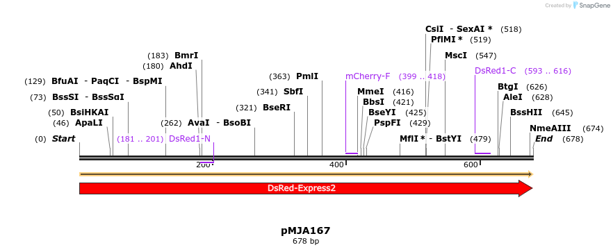246381_map