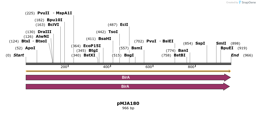 246383_map