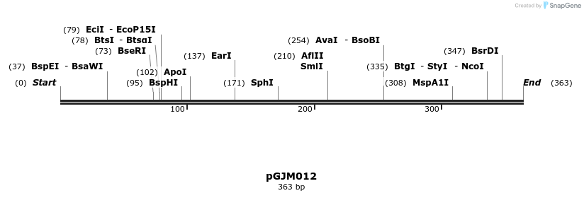 246387_map