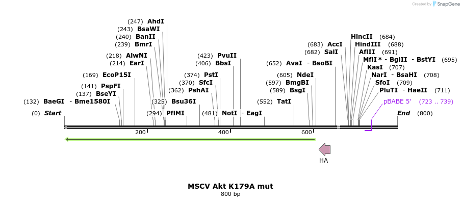 24642_map