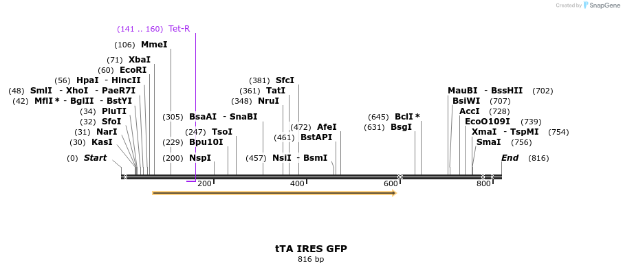 24647_map