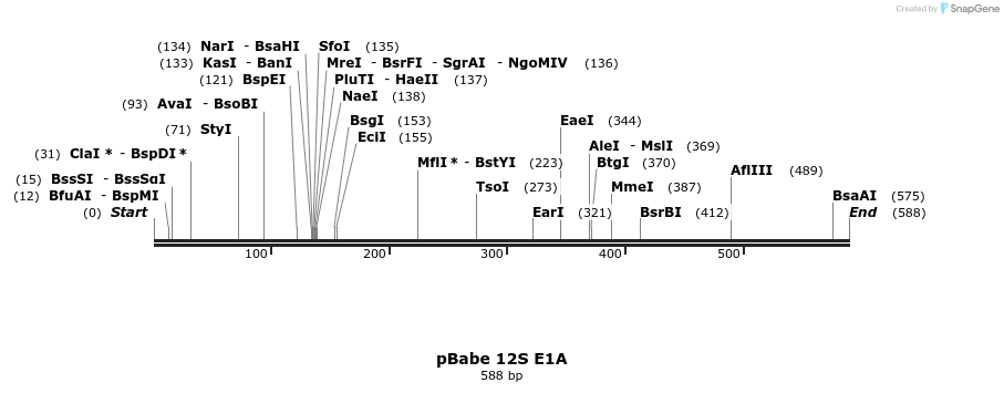 24653_map