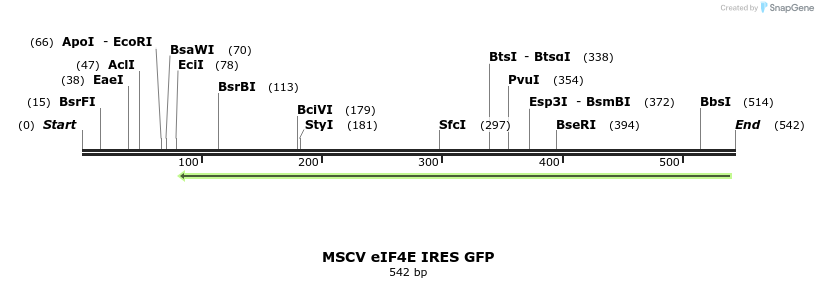 24654_map