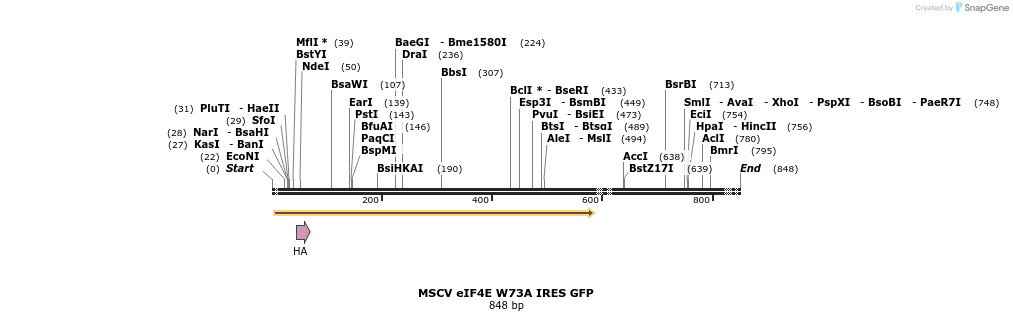 24656_map