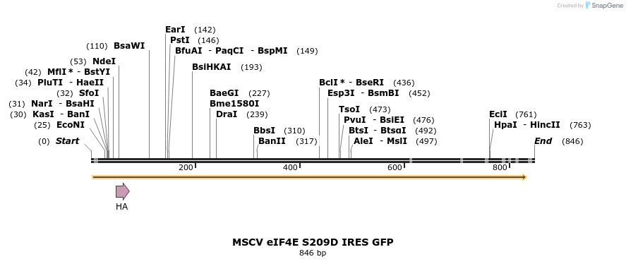 24659_map