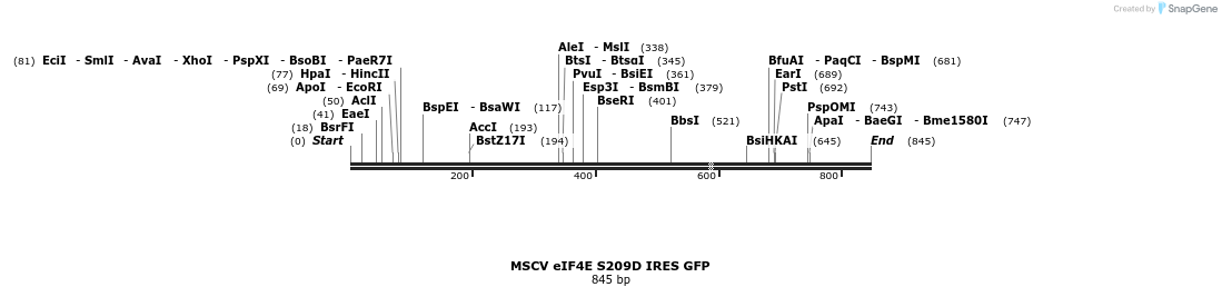 24660_map