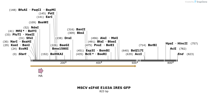 24661_map