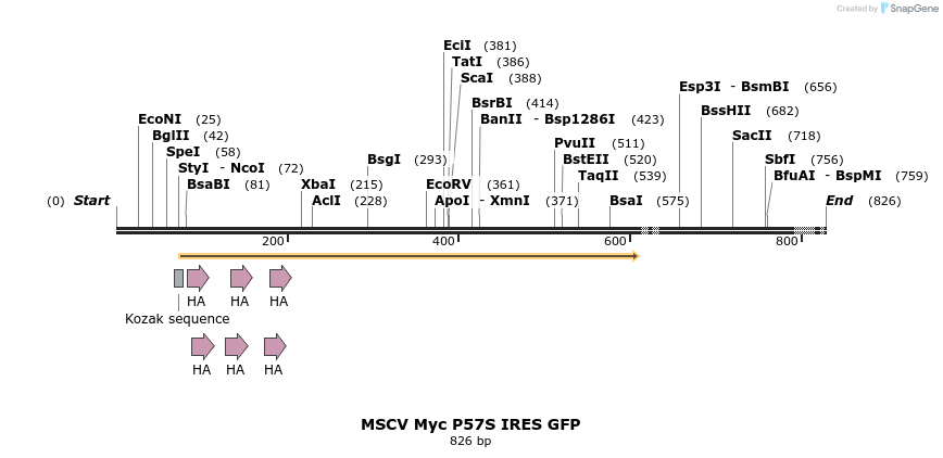 24663_map