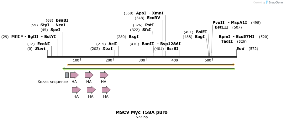 24666_map