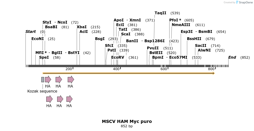 24668_map