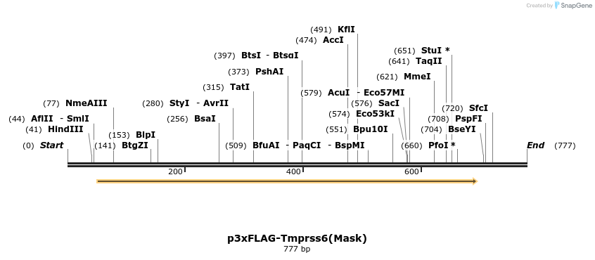 24675_map