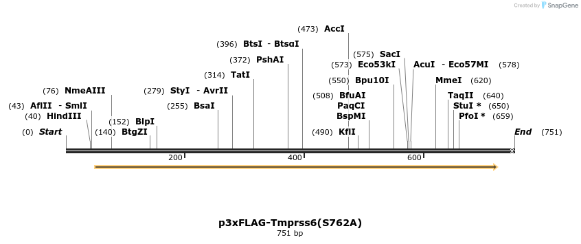 24676_map