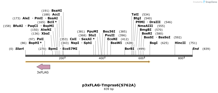 24677_map