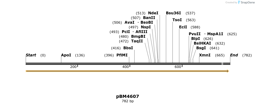 24683_map