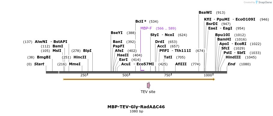 246834_map