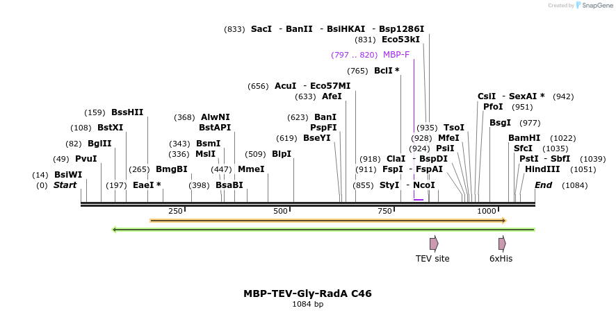 246835_map