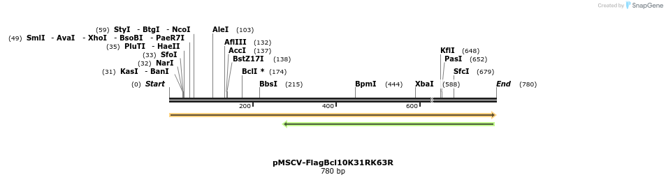 24685_map
