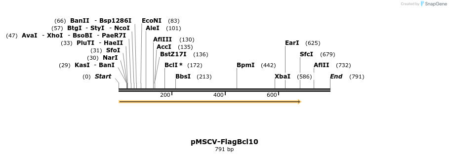 24686_map